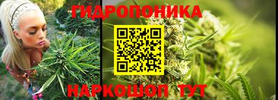 крисы Волжск
