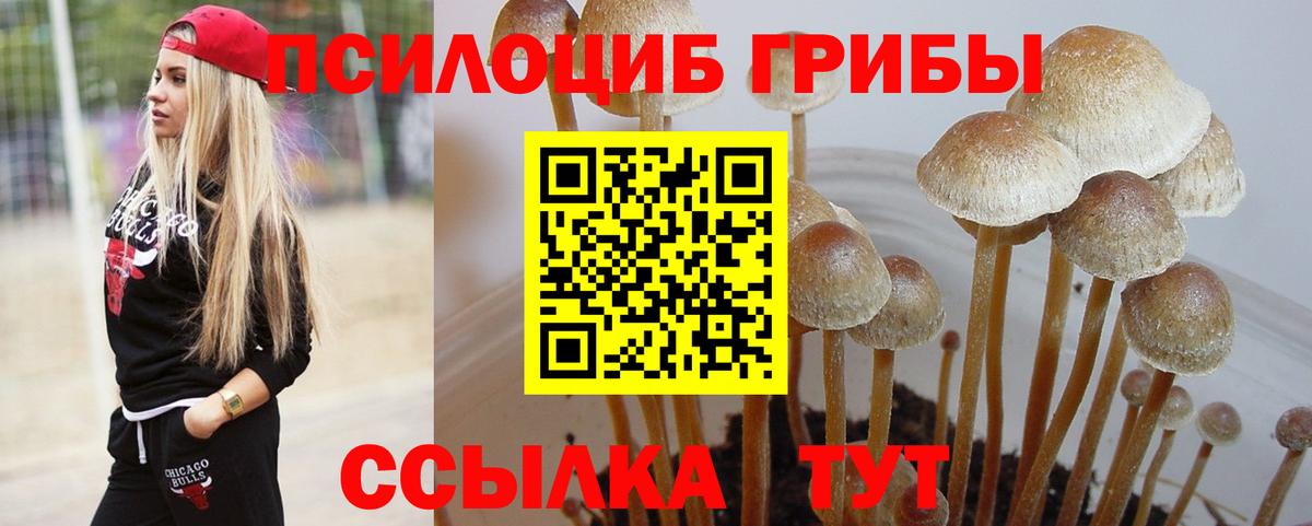 Галлюциногенные грибы ЛСД  Вход с VPN  Люберцы  Псилоцибиновые грибы ЛСД 
