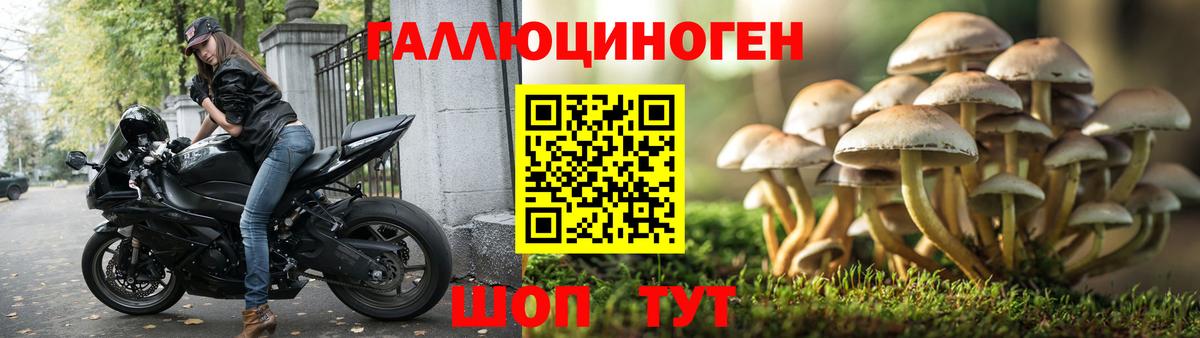 Галлюциногенные грибы прущие грибы Люберцы